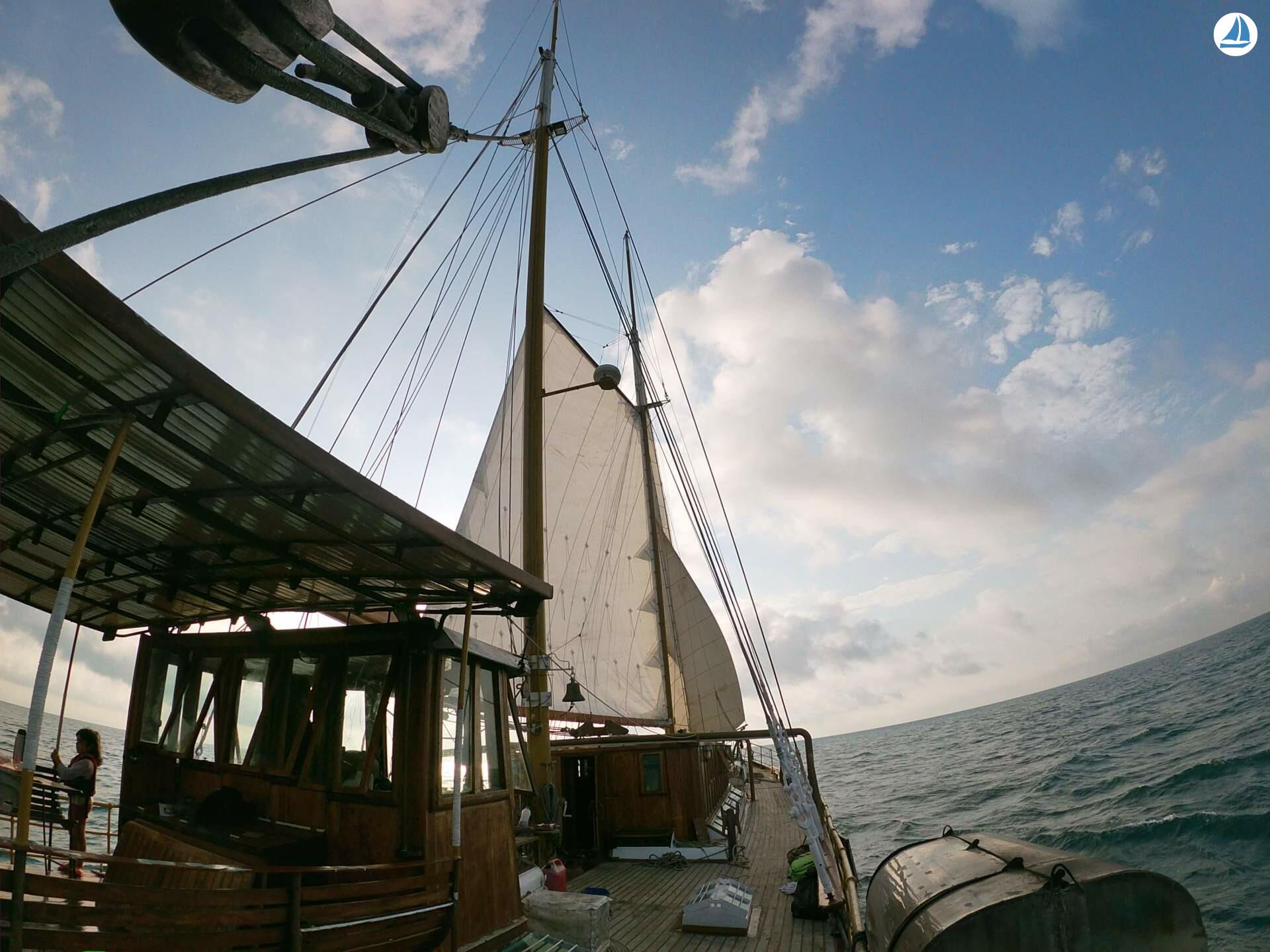 Photo Astillero Roncallo, Genova 1886 17