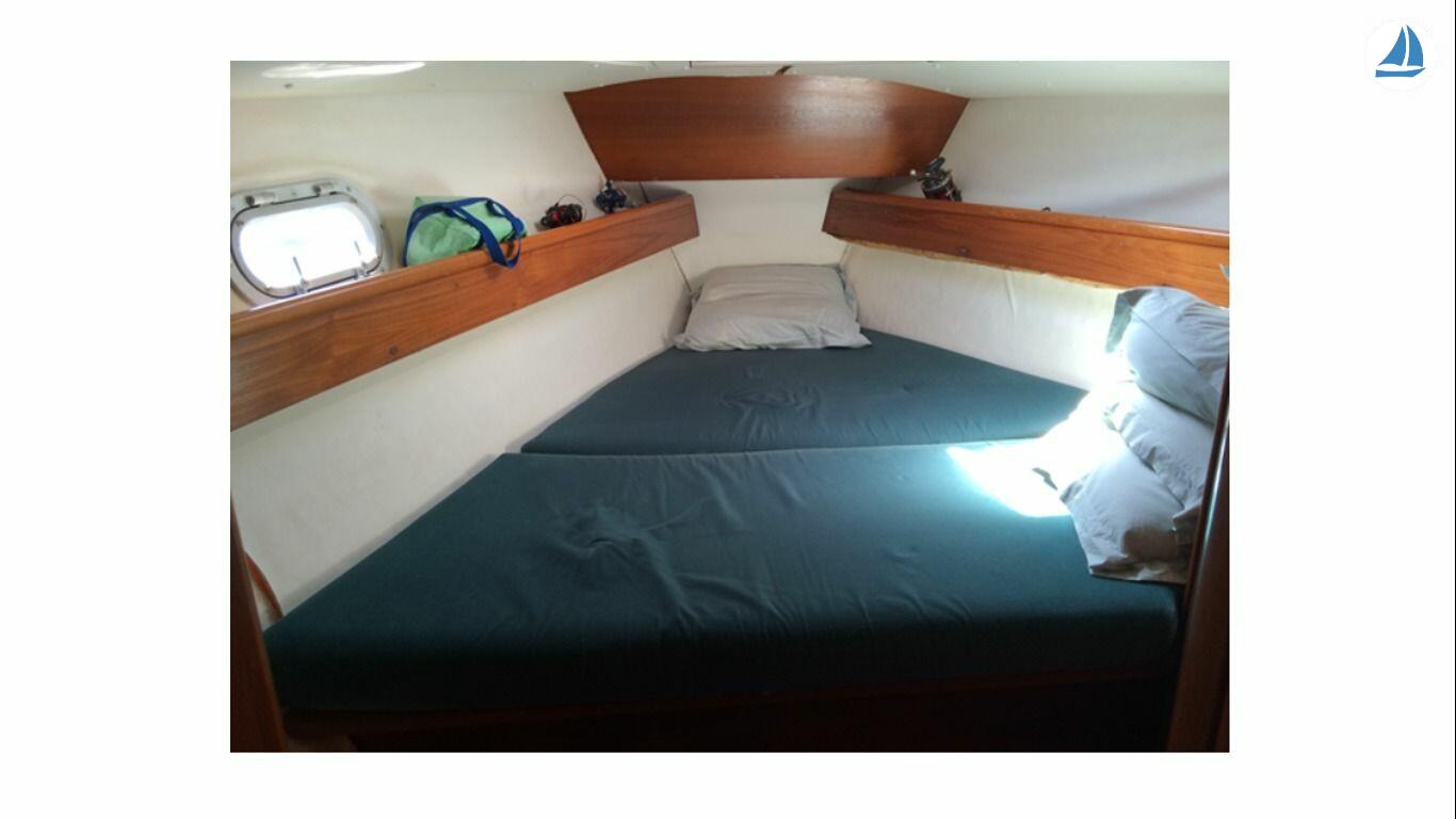 Photo Jeanneau Sun Odyseey 37-1 6