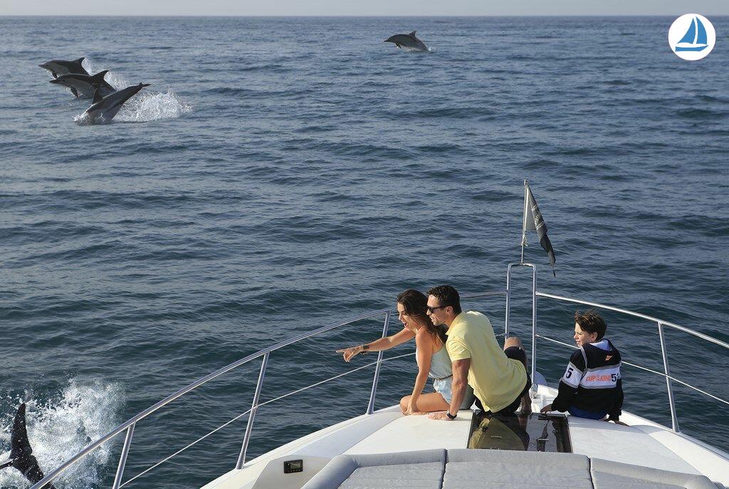 Photo Sunseeker 68 Sport Yacht 6