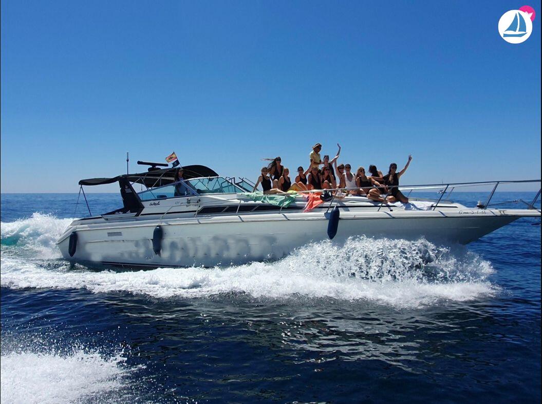 Photo Sea Ray 440 Sea ray, dolphin watching 2
