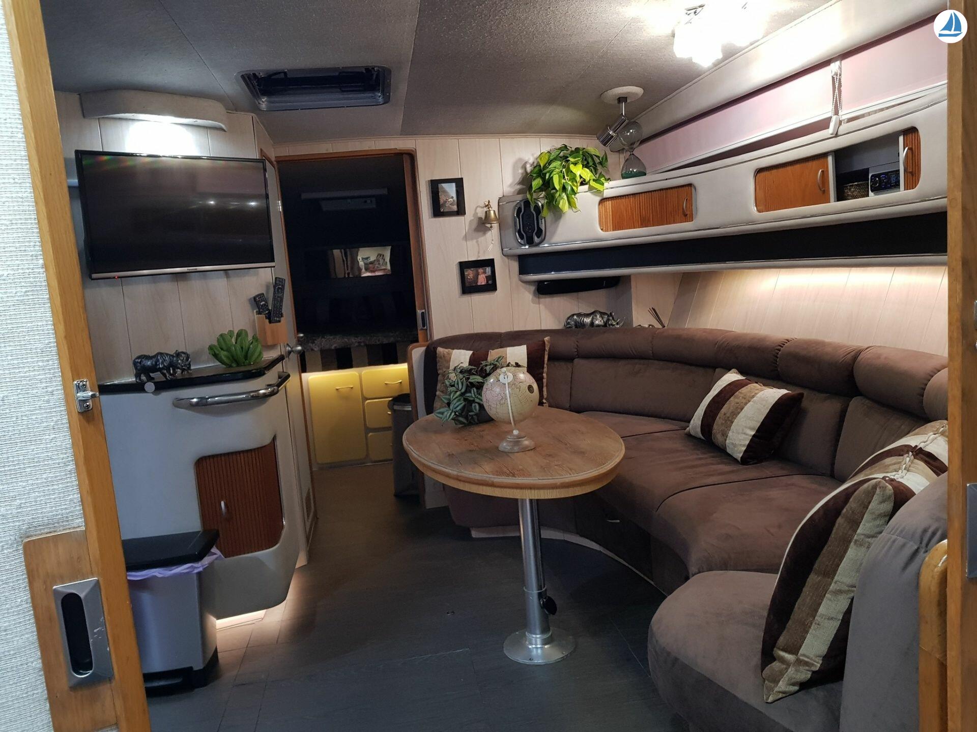 Photo Sea Ray 440 Sea ray, dolphin watching 9