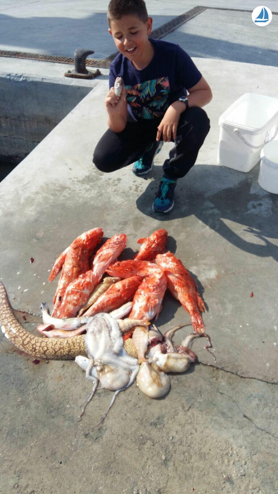 Photo Marabic llaut 800 4