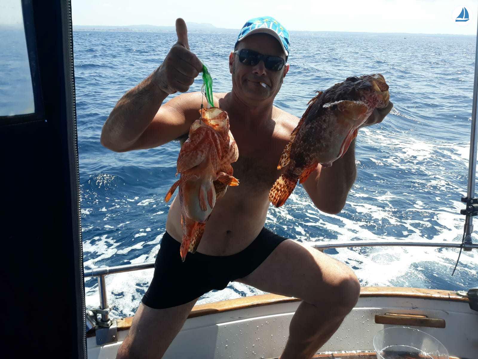 Photo Marabic llaut 800 5