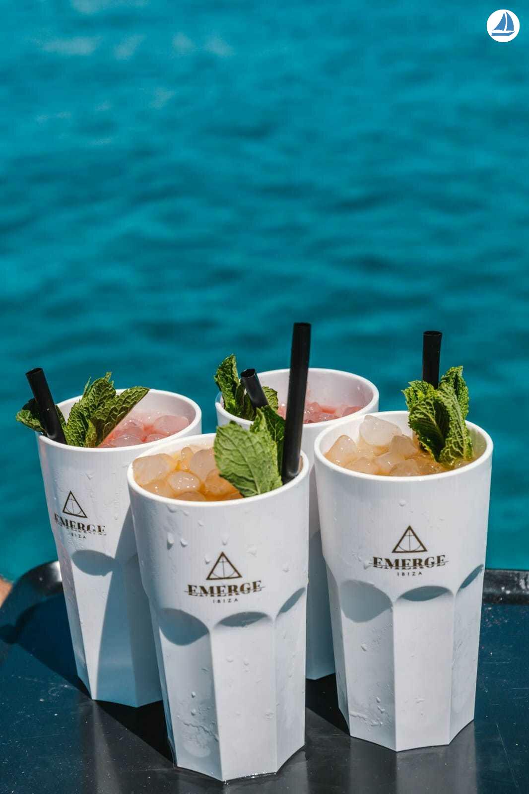 Photo TERMINAL BOAT Emerge 5