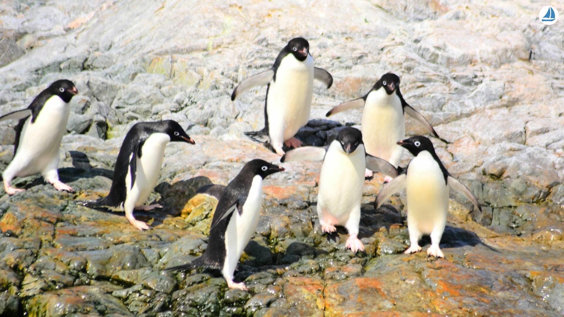 Photo Custom 60' Custom 60' 6