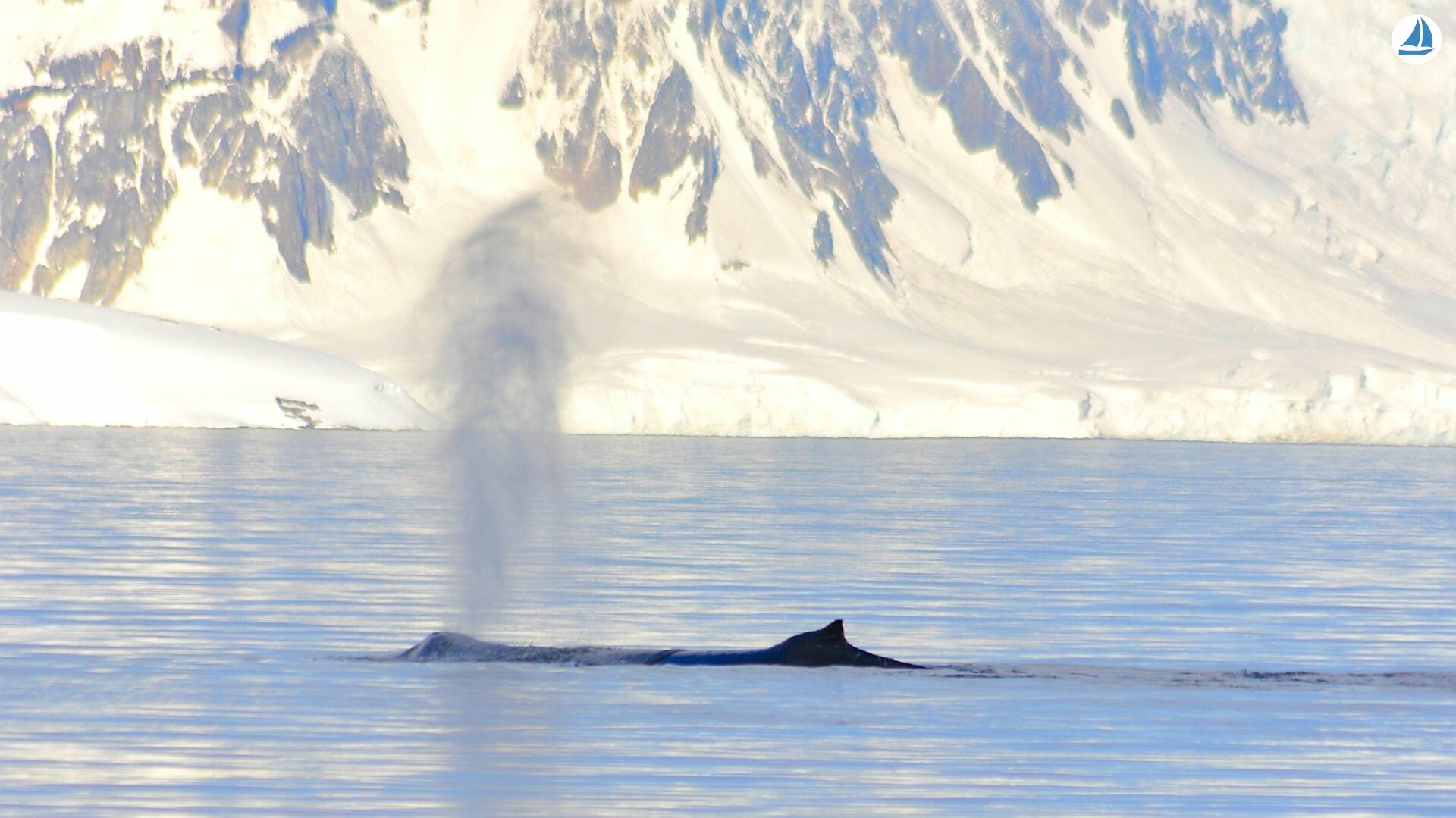 Photo Custom 60' Custom 60' 8