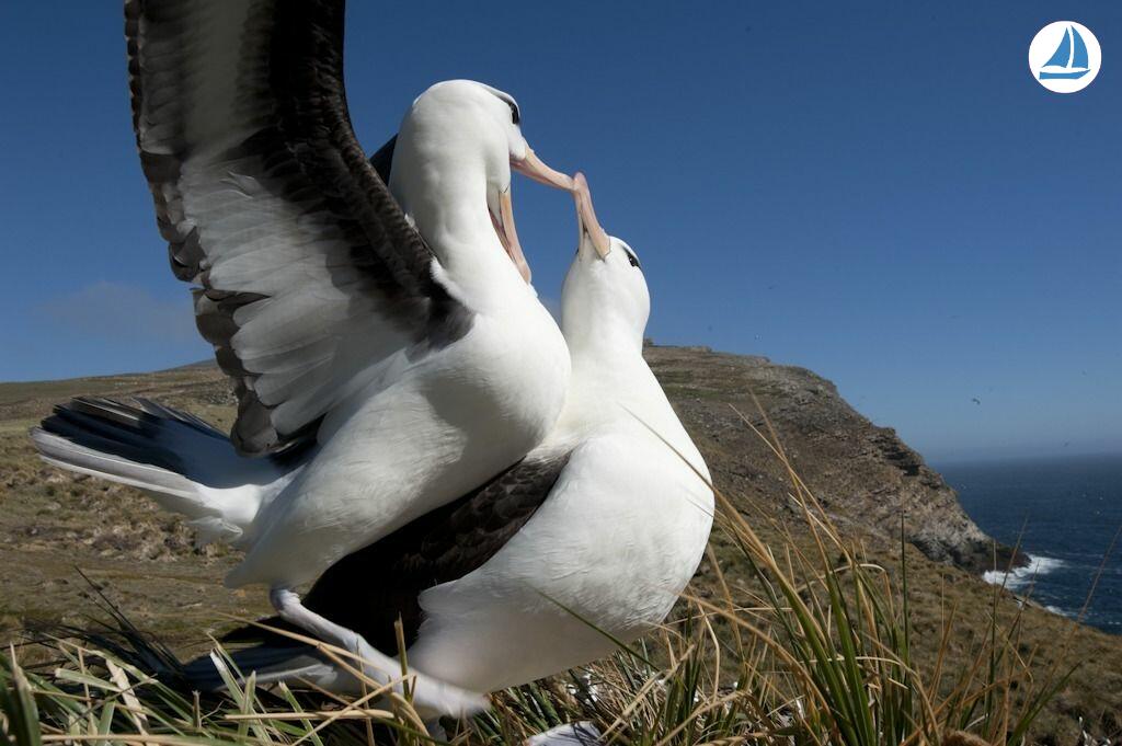 Photo Custom 60' Custom 60' 9