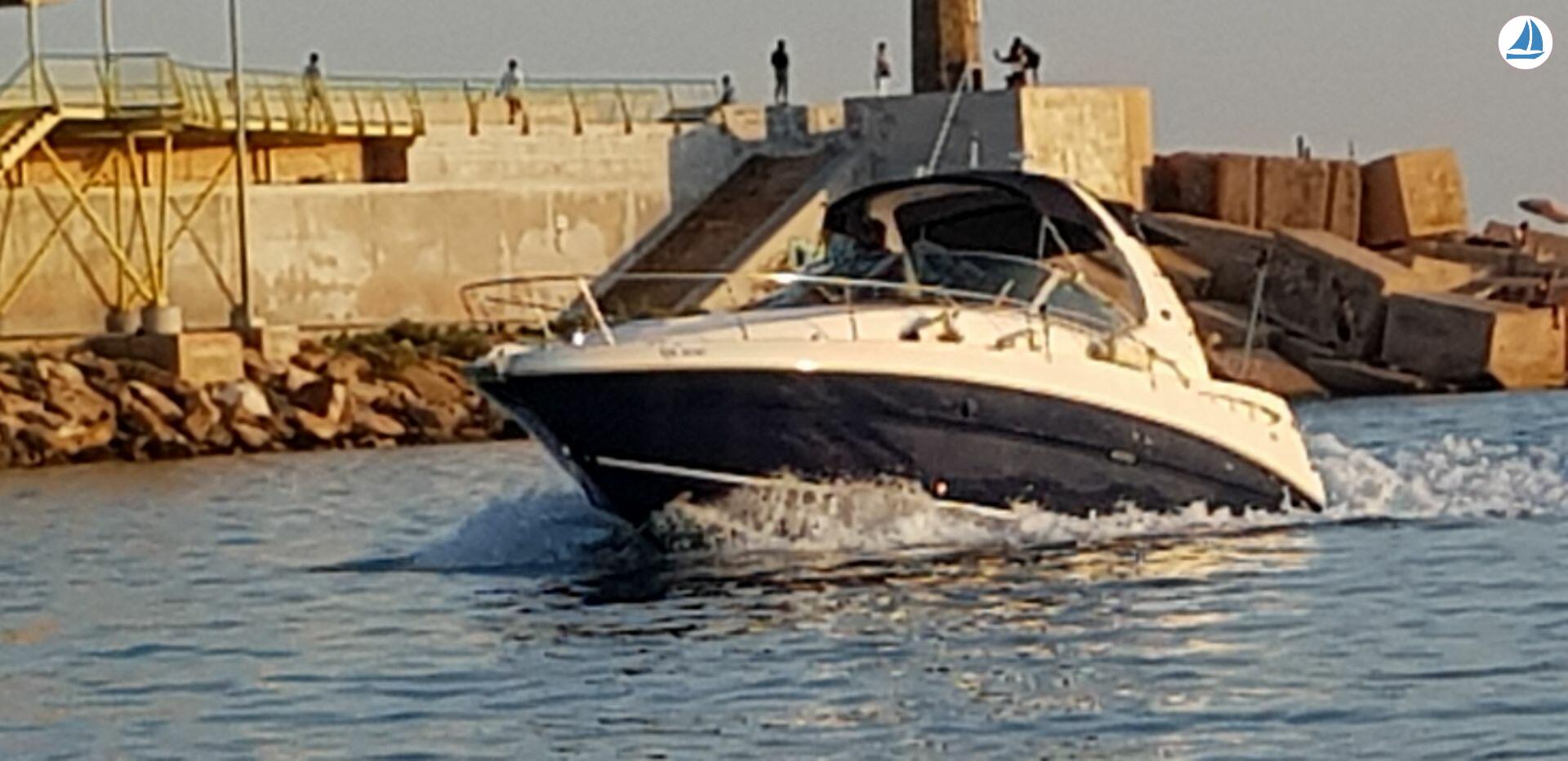 Photo Sea Ray Sundancer 355 5