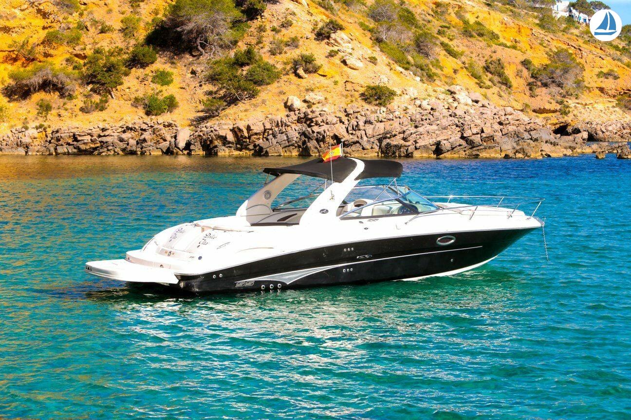 Photo Sea Ray 295 SS 1
