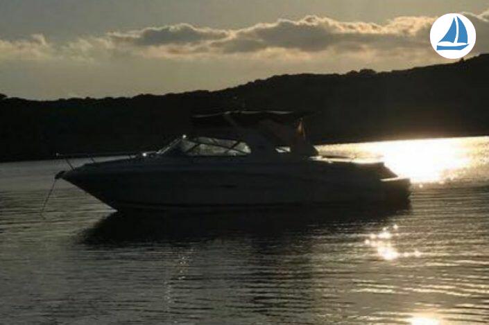 Photo Sea Ray 295 SS 11